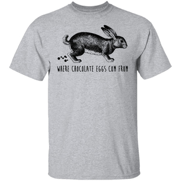 Where Chocolate Eggs Come From T-Shirt CustomCat