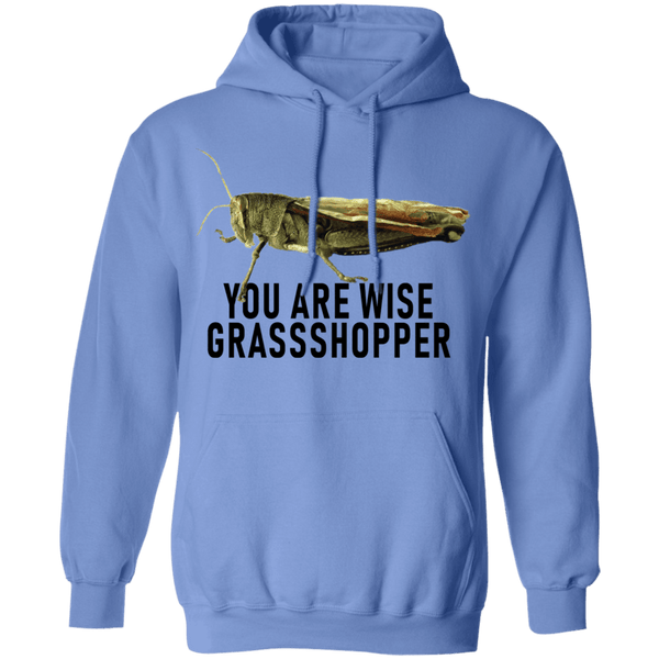 You Are Wise Grassshopper T-Shirt CustomCat
