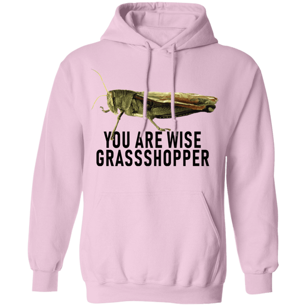 You Are Wise Grassshopper T-Shirt CustomCat
