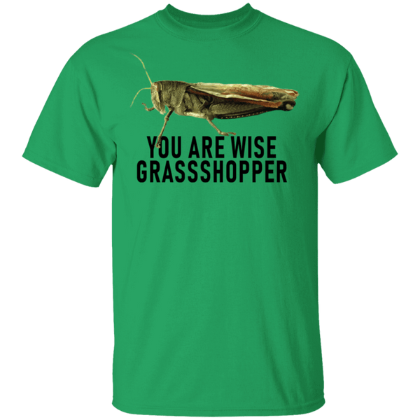 You Are Wise Grassshopper T-Shirt CustomCat