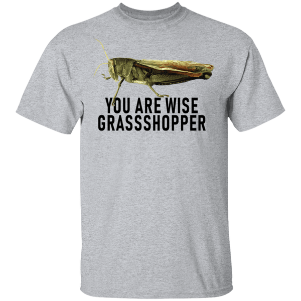 You Are Wise Grassshopper T-Shirt CustomCat