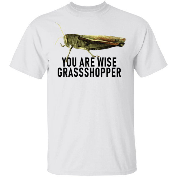 You Are Wise Grassshopper T-Shirt CustomCat