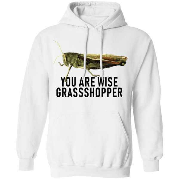 You Are Wise Grassshopper T-Shirt CustomCat