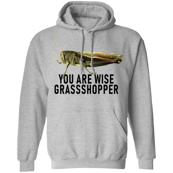 You Are Wise Grassshopper T-Shirt CustomCat