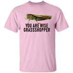 You Are Wise Grassshopper T-Shirt CustomCat